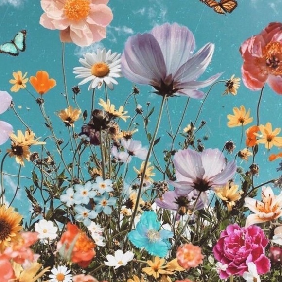 Meet your Posher, Molly - Picture 1 of 1